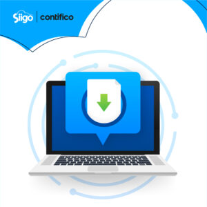 Paso a paso para descargar facturas electrónicas del SRI Content 3 descarga de documentos digitales