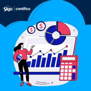 NIIF 18 Content 3 Categorías de ingresos y gastos