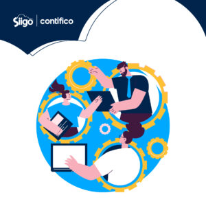 Anexos SRI Content 6 registro de transacciones