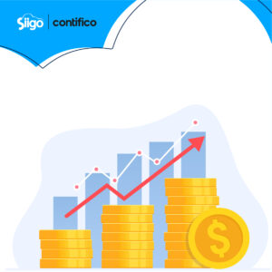 NIC 7 y estados de flujos Content 4 inversión de capital en pyme